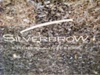 Granite Silverbrow